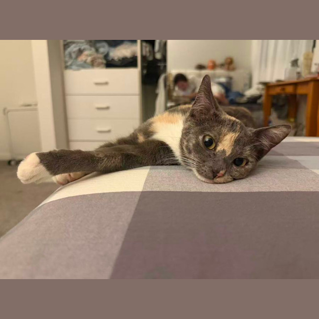 Photo of Luna