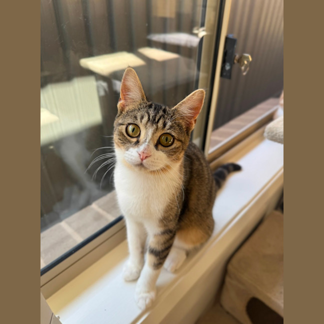 Photo of Flynn