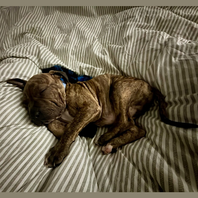 Photo of Tank