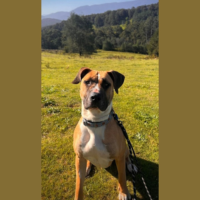 Photo of Delilah