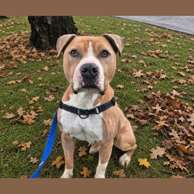 Photo of Tyson
