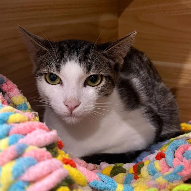 Photo of 12167   Laurence 