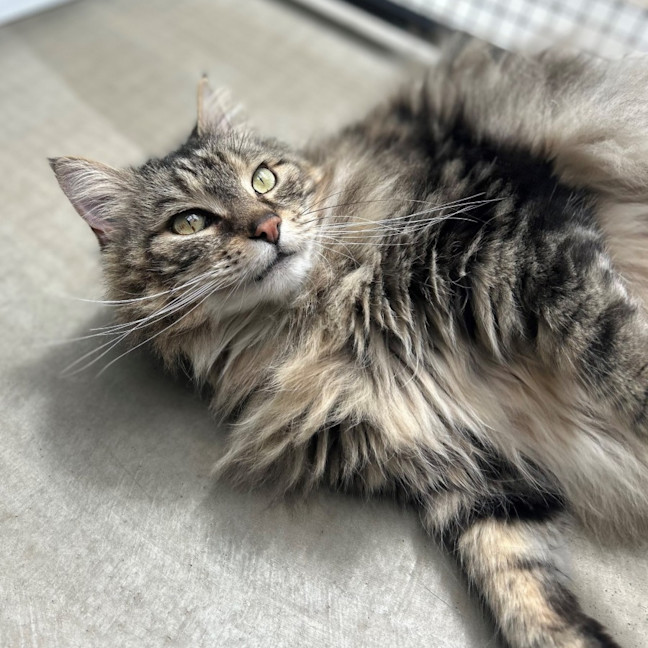 Photo of Benny