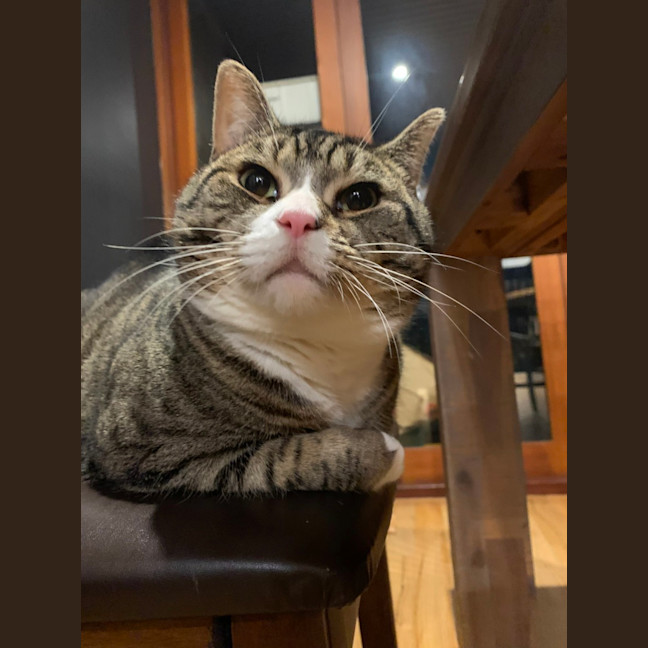Photo of Izzy