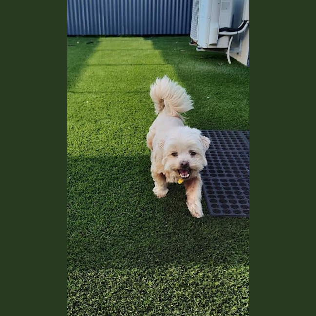 Photo of Roxy