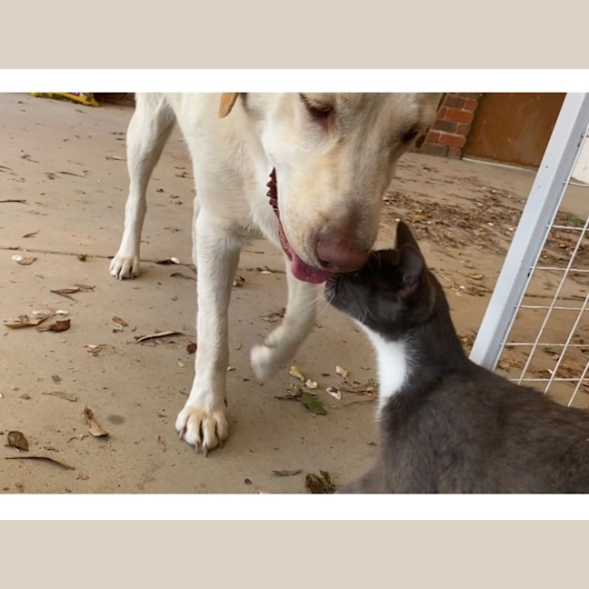 Photo of Edwina & Trixie