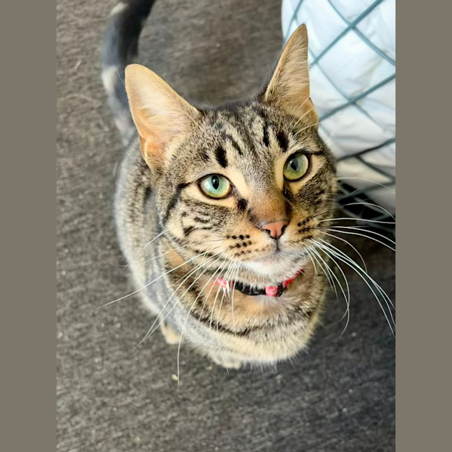 Photo of Charlie