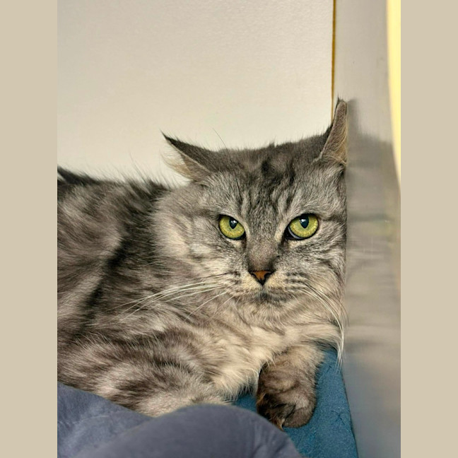 Photo of Hershey