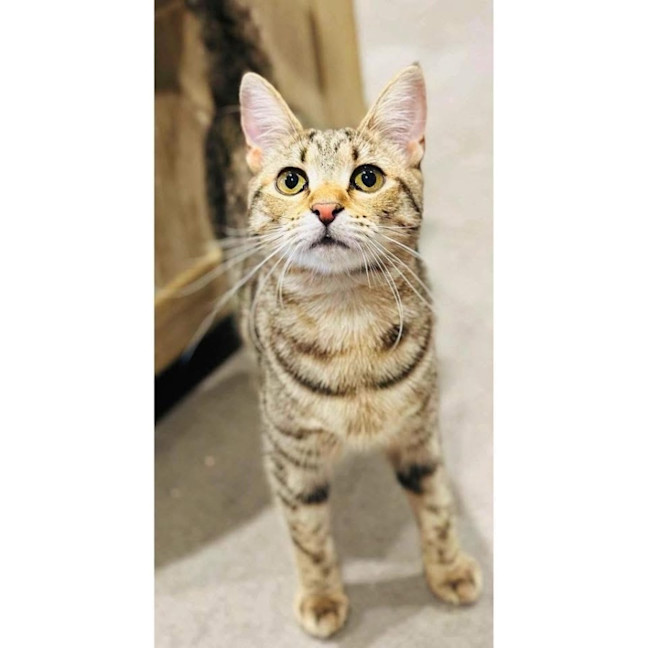 Photo of 11087   Jelli