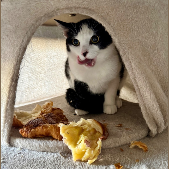 Photo of Panda Scott