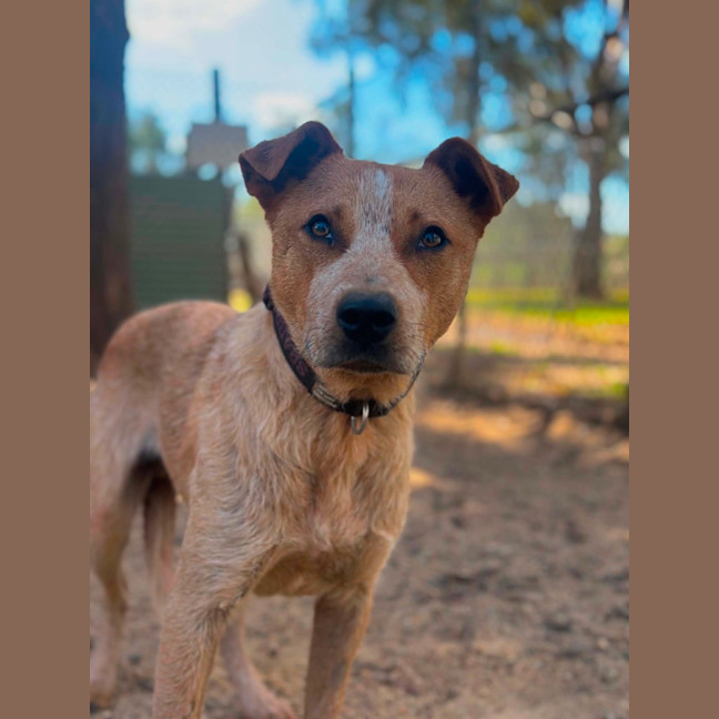 Photo of Bingo 