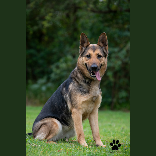 Photo of Sasha
