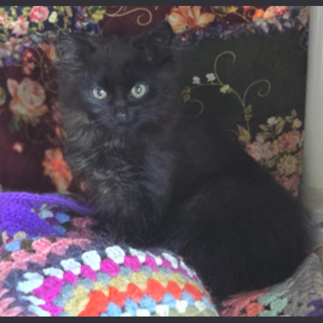 Photo of Snugglebum