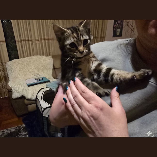 Photo of Agnes Addams