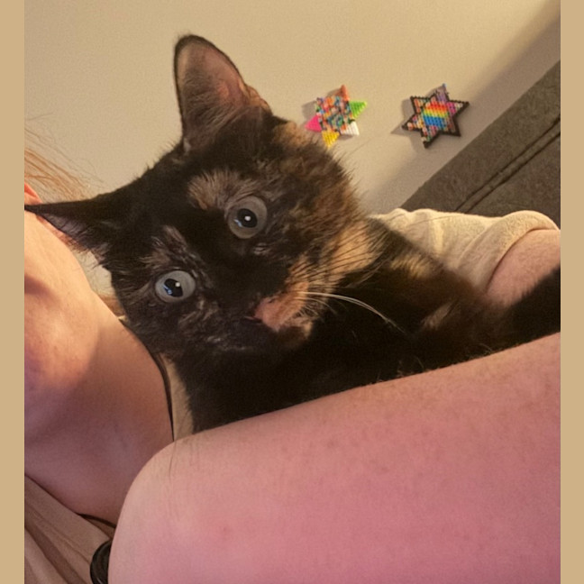 Photo of Mabel Moo