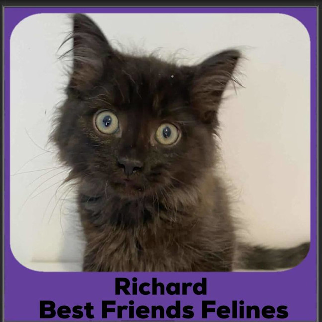 Photo of Richard 