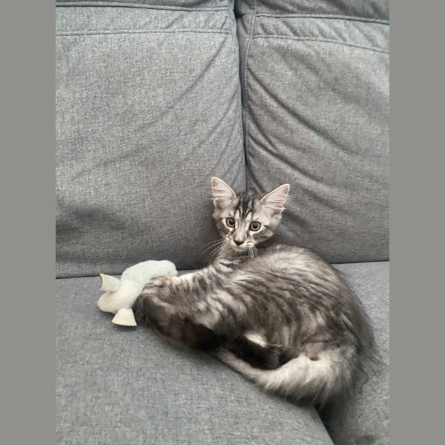 Photo of Leo