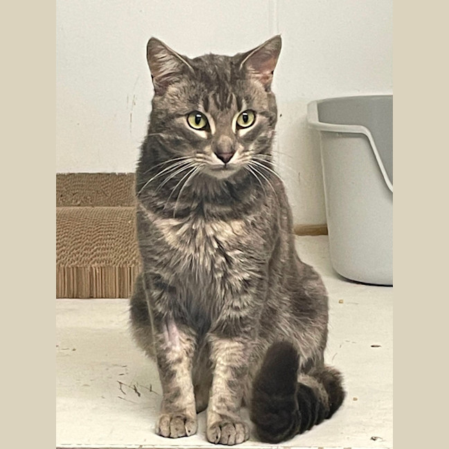 Photo of Smokey