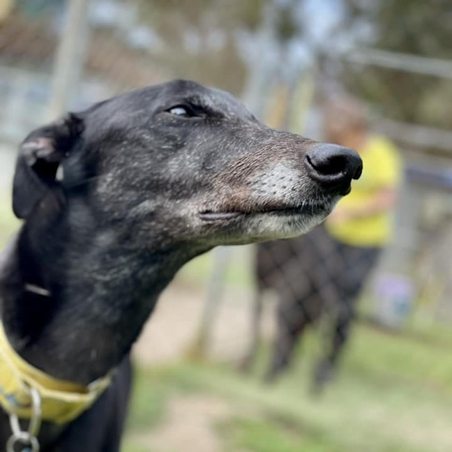 Photo of Ria (Prev. Fragaria)