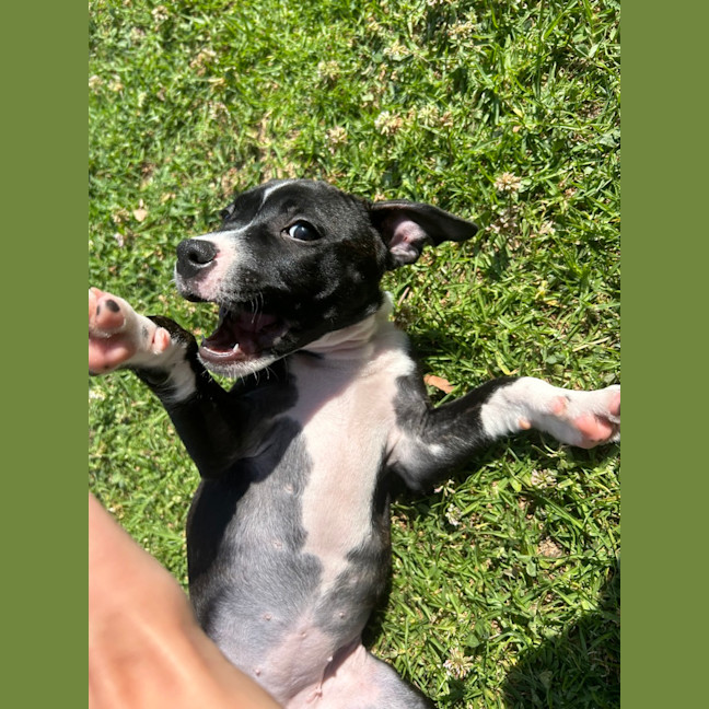 Photo of Mili