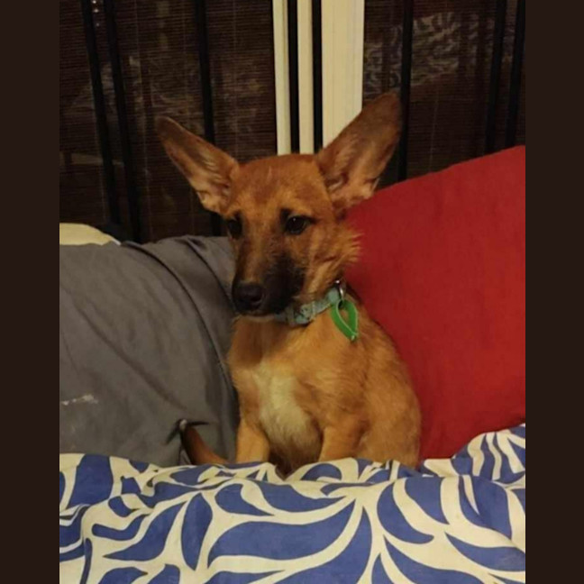 Photo of Billy