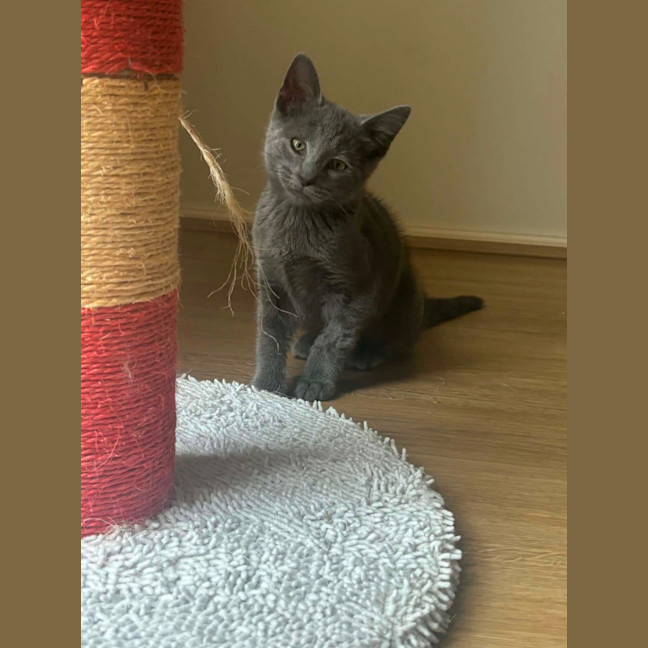 Photo of Zeus