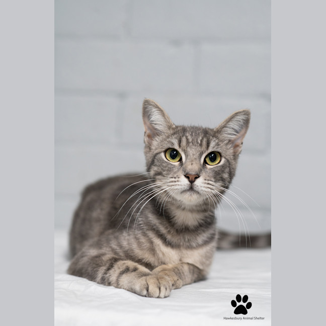 Photo of Molly 