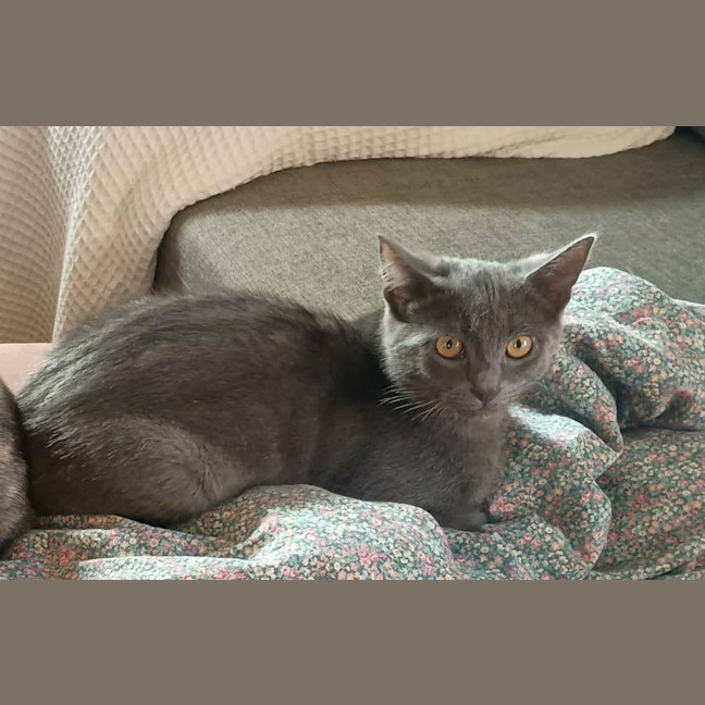 Photo of Zen