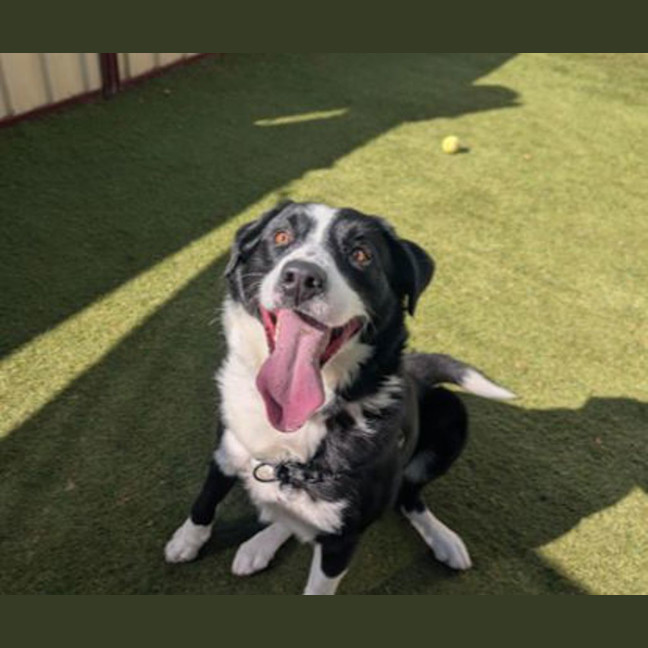 Photo of Ralph
