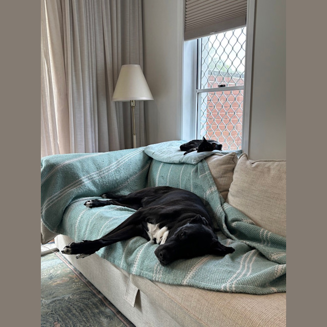 Photo of Merp (Previously Leanne) 