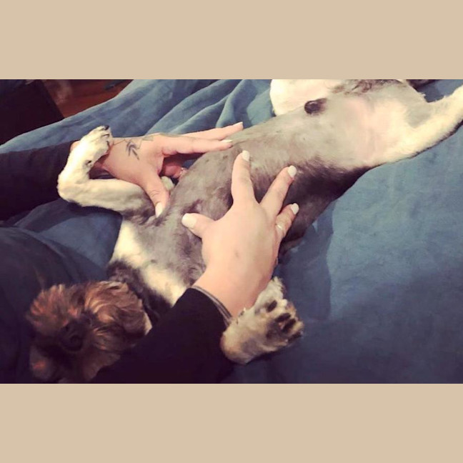 Photo of Roy Valenti