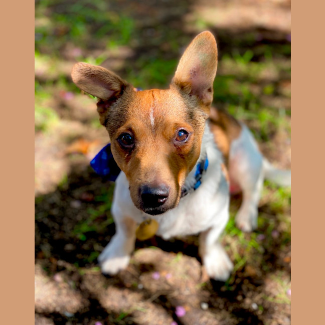 Photo of Kevin Arnold