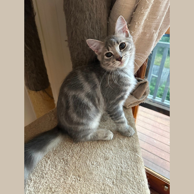 Photo of Jadzia