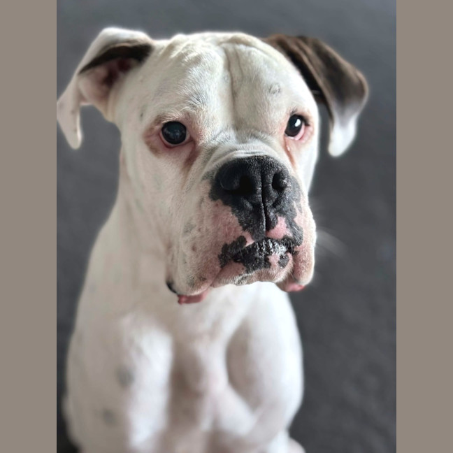 Photo of Rico And Mamacita