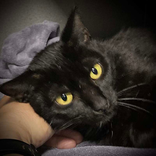 Photo of Shelly