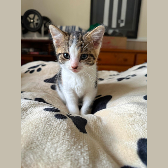 Photo of Little Leah