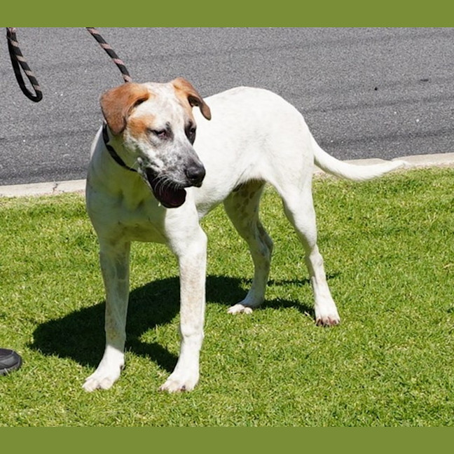 Photo of Ricky Bobby