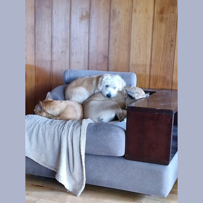 Photo of Georgie O'cleary