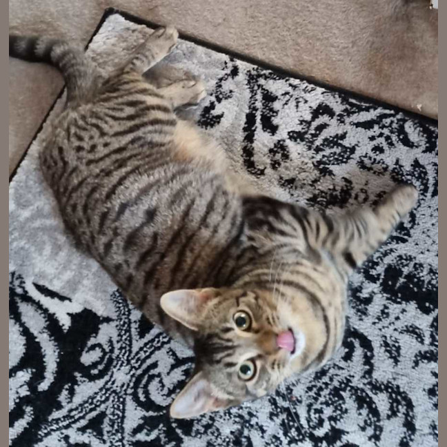 Photo of Holly