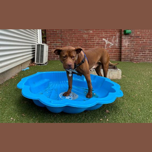 Photo of Maggie