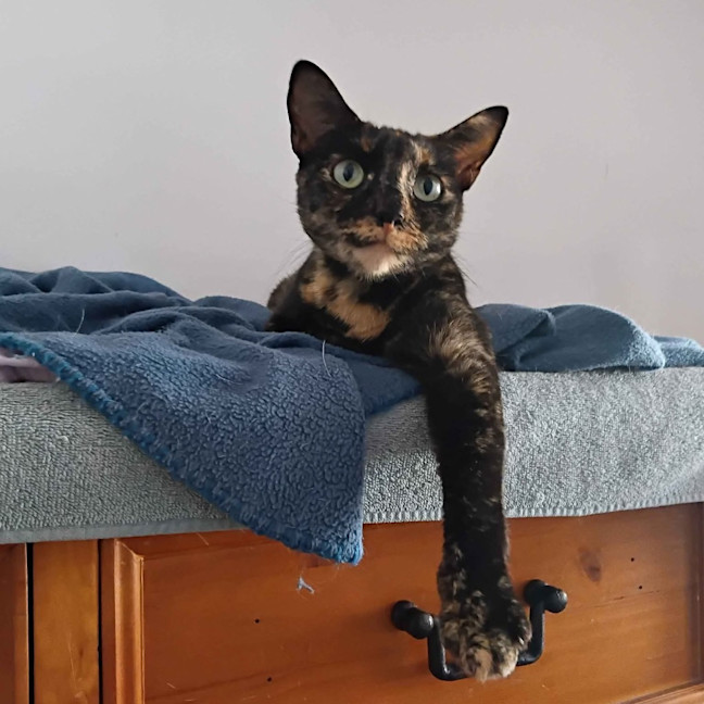 Photo of Elodie