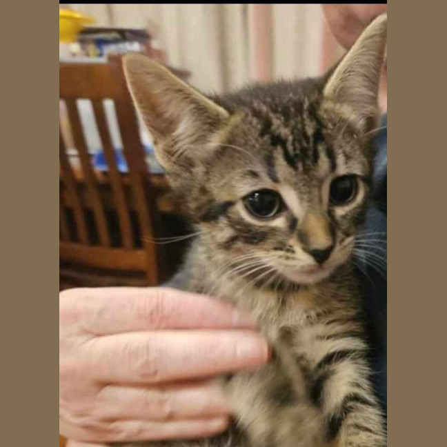 Photo of Jacob Meet Me At Petstock Chelsea Store