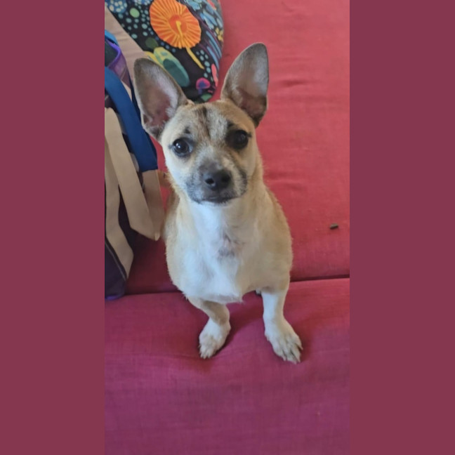 Photo of Roxy