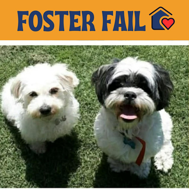 Photo of Smooches / Bear