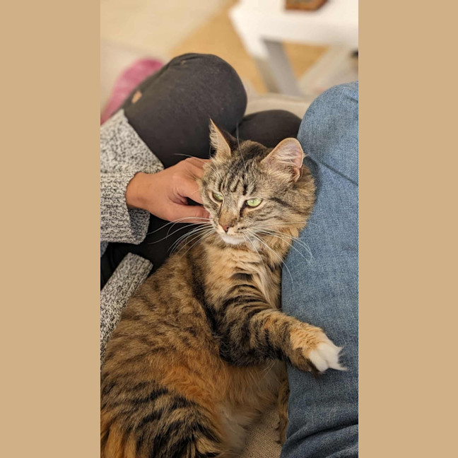 Photo of Jupiter 🩷