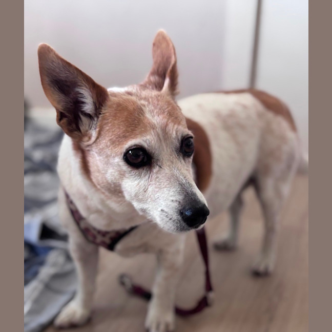 Photo of Tiara And Choppa