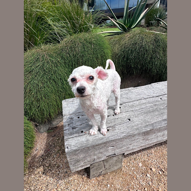 Photo of Molly