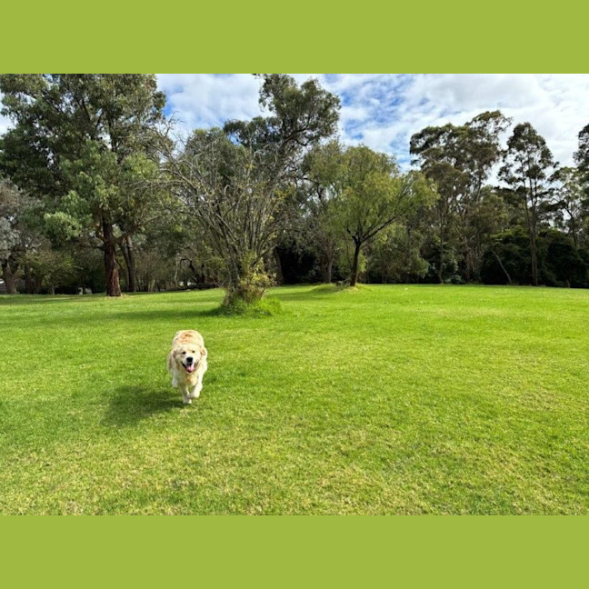 Photo of Sarrh Falko 