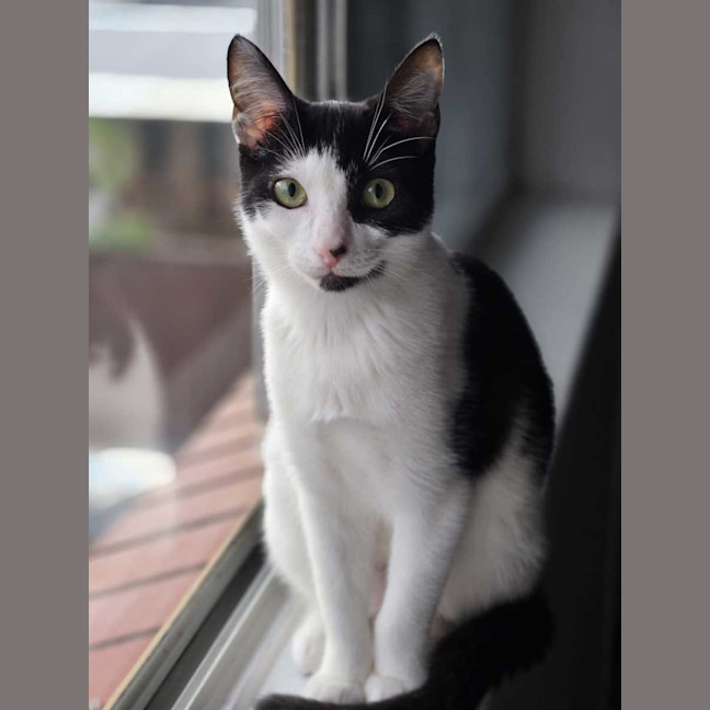 Photo of Daisy