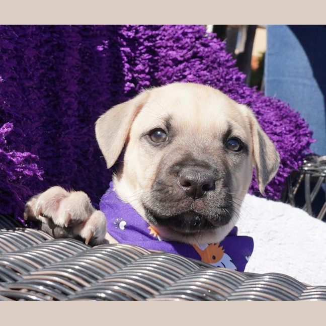 Photo of Vinnie